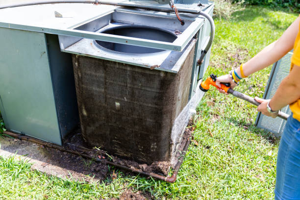 Best Air Duct Mold Removal  in Carrollton, AL