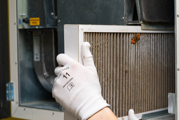 Best Air Duct Cleaning Company Near Me  in Carrollton, AL