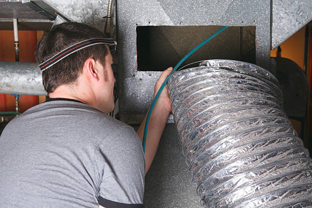 Best Dryer Vent Cleaning Services  in Carrollton, AL
