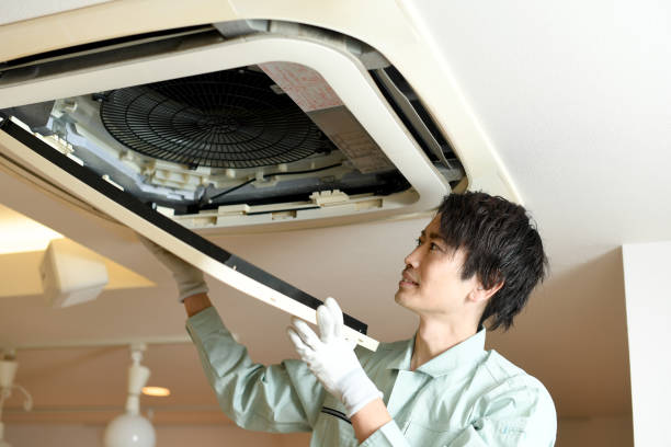 Best Emergency Air Duct Cleaning  in Carrollton, AL