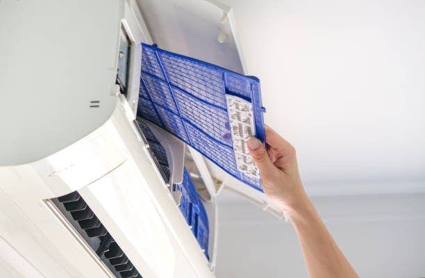 Best Air Duct Sanitizing Services  in Carrollton, AL