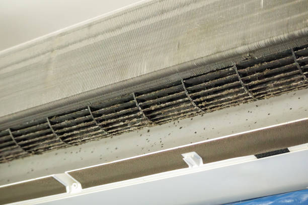 Best Best Air Duct Cleaning Company  in Carrollton, AL