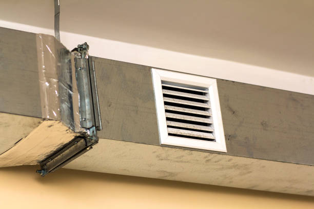 Best Affordable Duct Cleaning Services  in Carrollton, AL